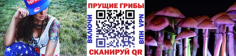 Псилоцибиновые грибы Magic Shrooms  наркотики  Сосенский 